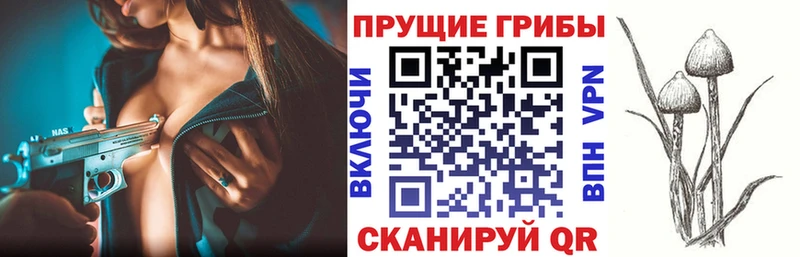 где продают   Власиха  Галлюциногенные грибы мухоморы 
